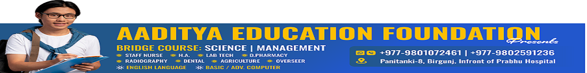 Aditya- education