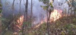 डढेलो निभाउने क्रममा जलेर दुईको मृत्यु