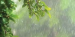 देशका विभिन्न भूभागमा वर्षाको सम्भावना