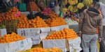 सुन्तला उत्पादन घटेपनि मूल्य वृद्धि हुँदा किसान उत्साहित