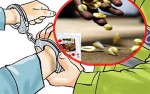 कौडा खेलिरहेको अवस्थामा १७ जना पक्राउ