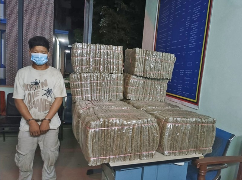 भारत लैजाँदै गरेको २५० किलो गाँजासहित एक जना पक्राउ